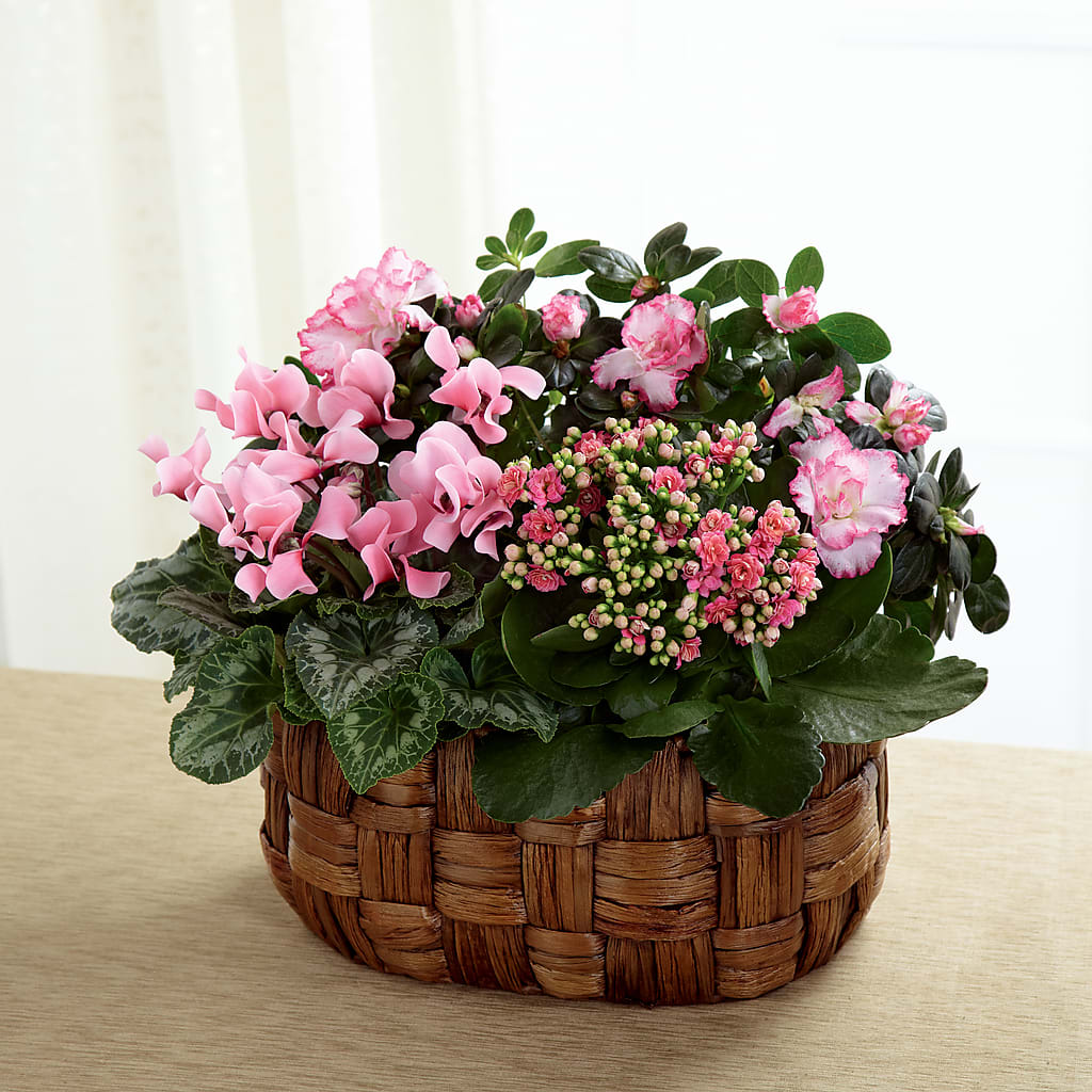 Pink Assortment – My Flower Market, Santa Ana CA