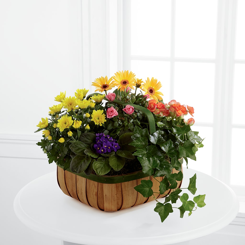 Gentle Blossoms Basket – My Flower Market, Santa Ana CA