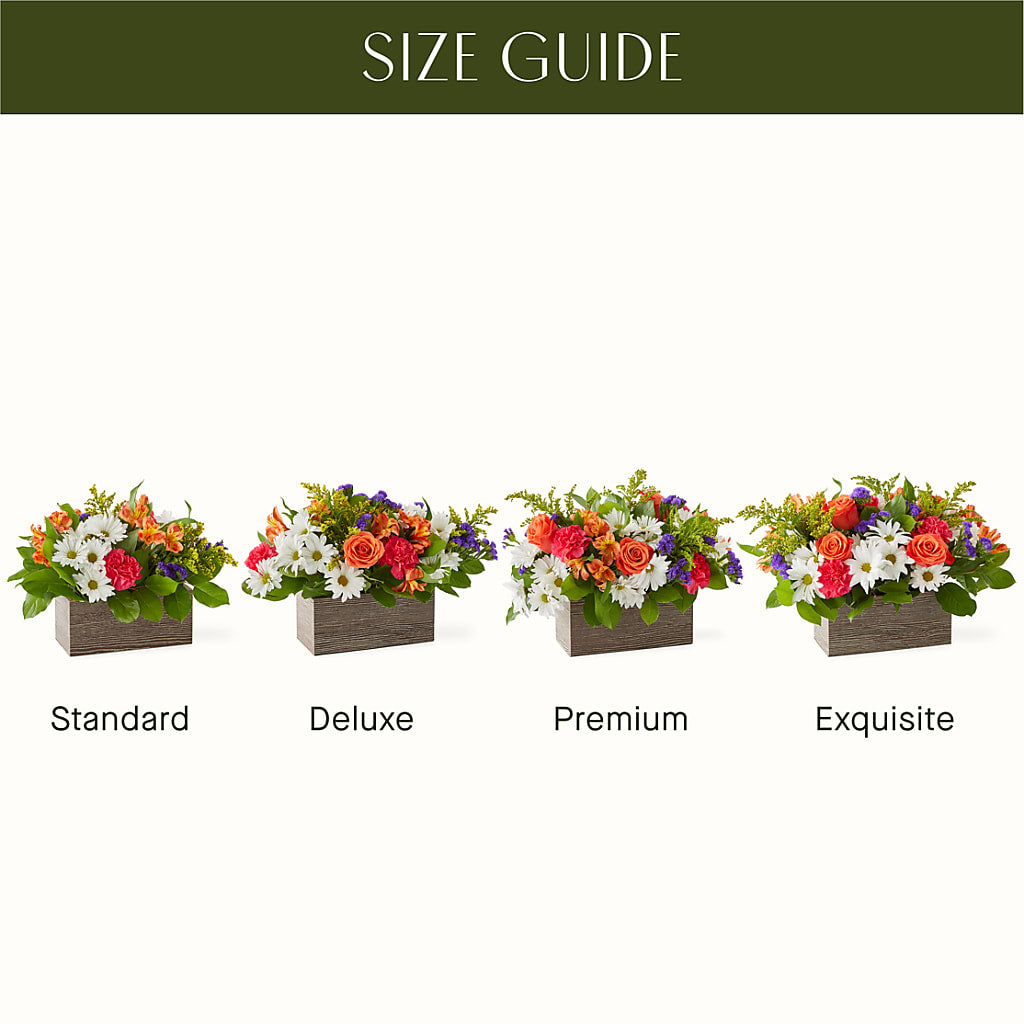 Oopsie Daisy Box Bouquet – My Flower Market, Santa Ana CA