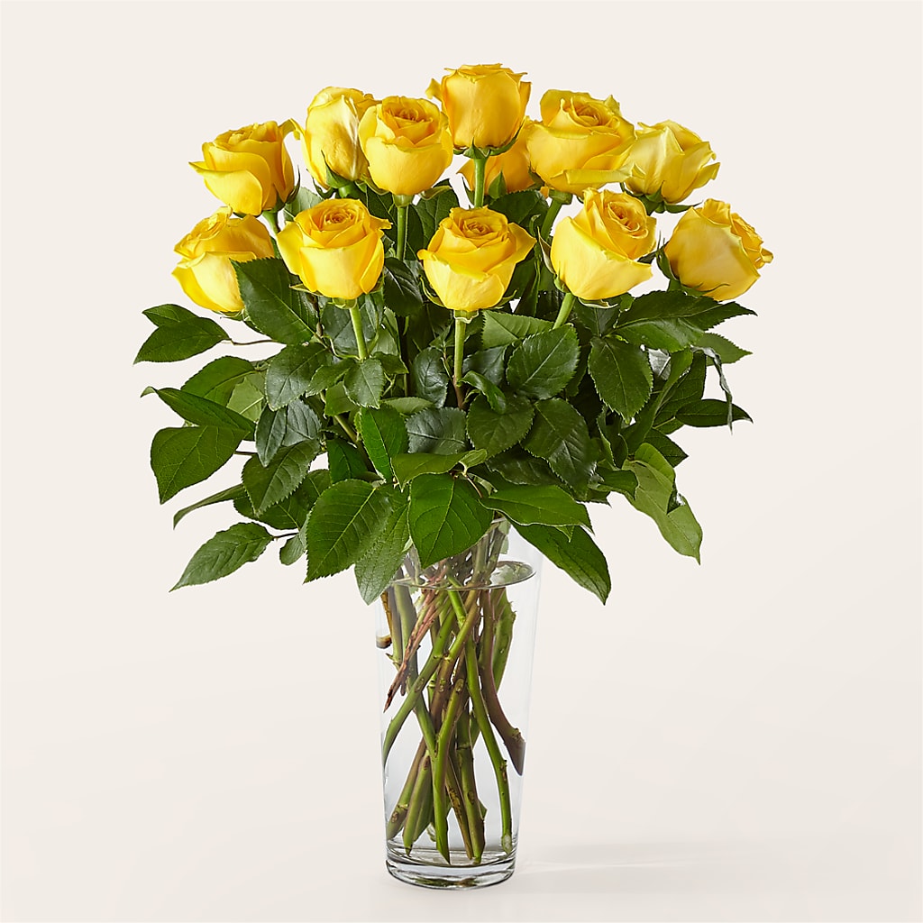 Long Stem Yellow Rose Bouquet – My Flower Market, Santa Ana CA