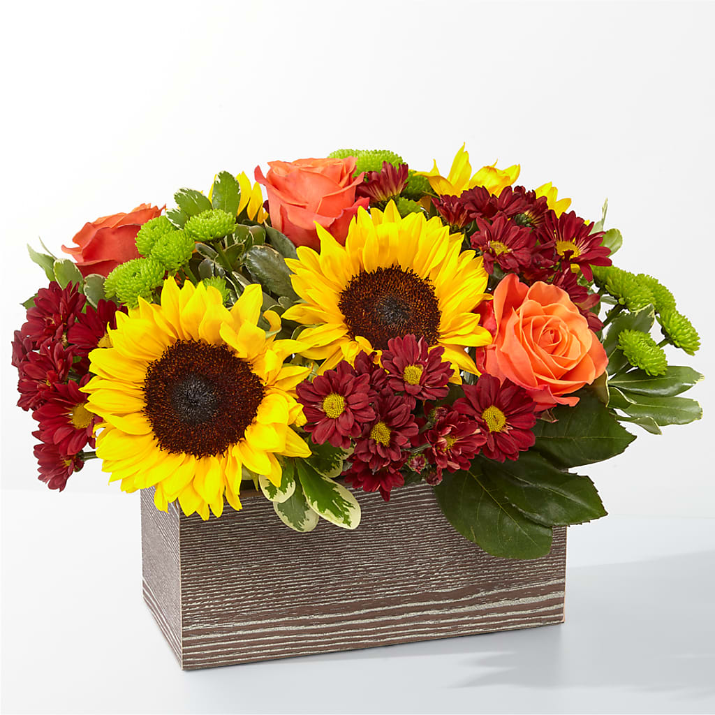 Happy Harvest Garden – My Flower Market, Santa Ana CA