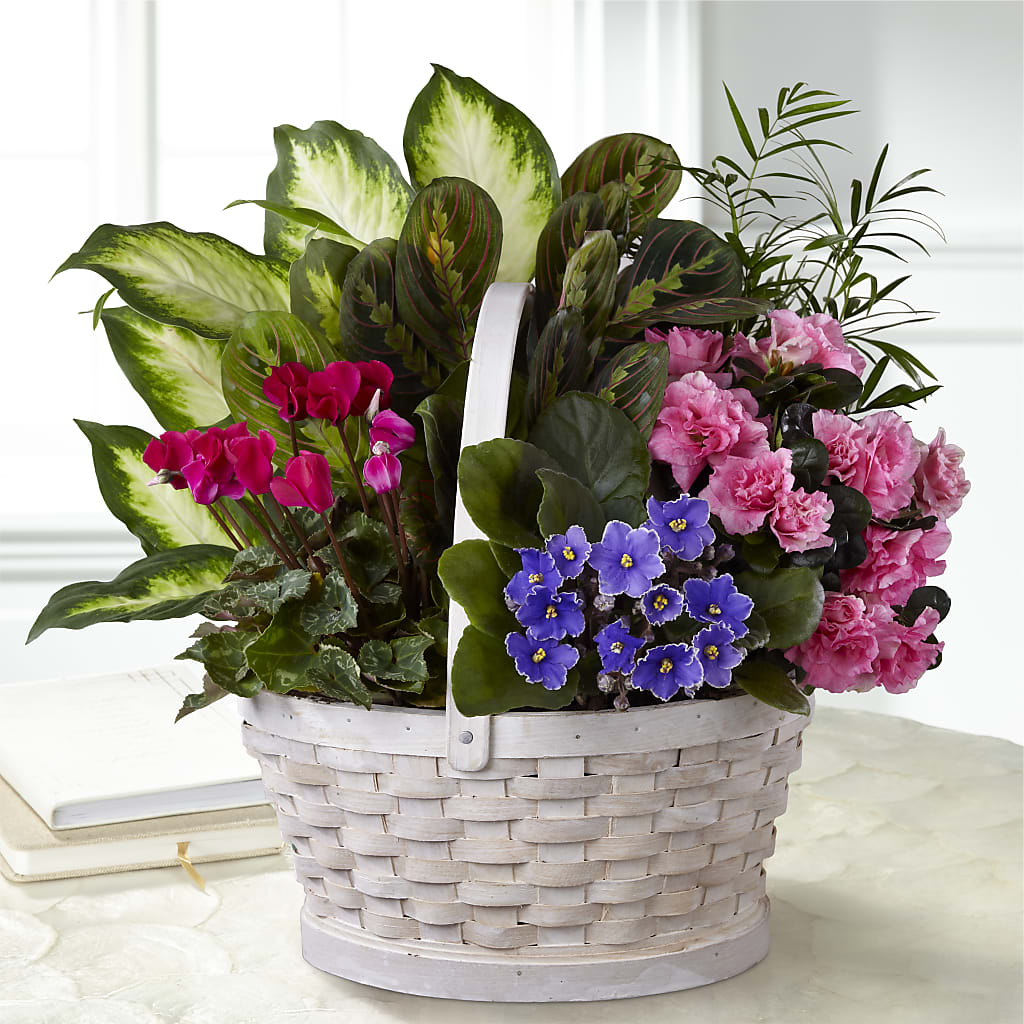 Peaceful Garden Planter – My Flower Market, Santa Ana CA