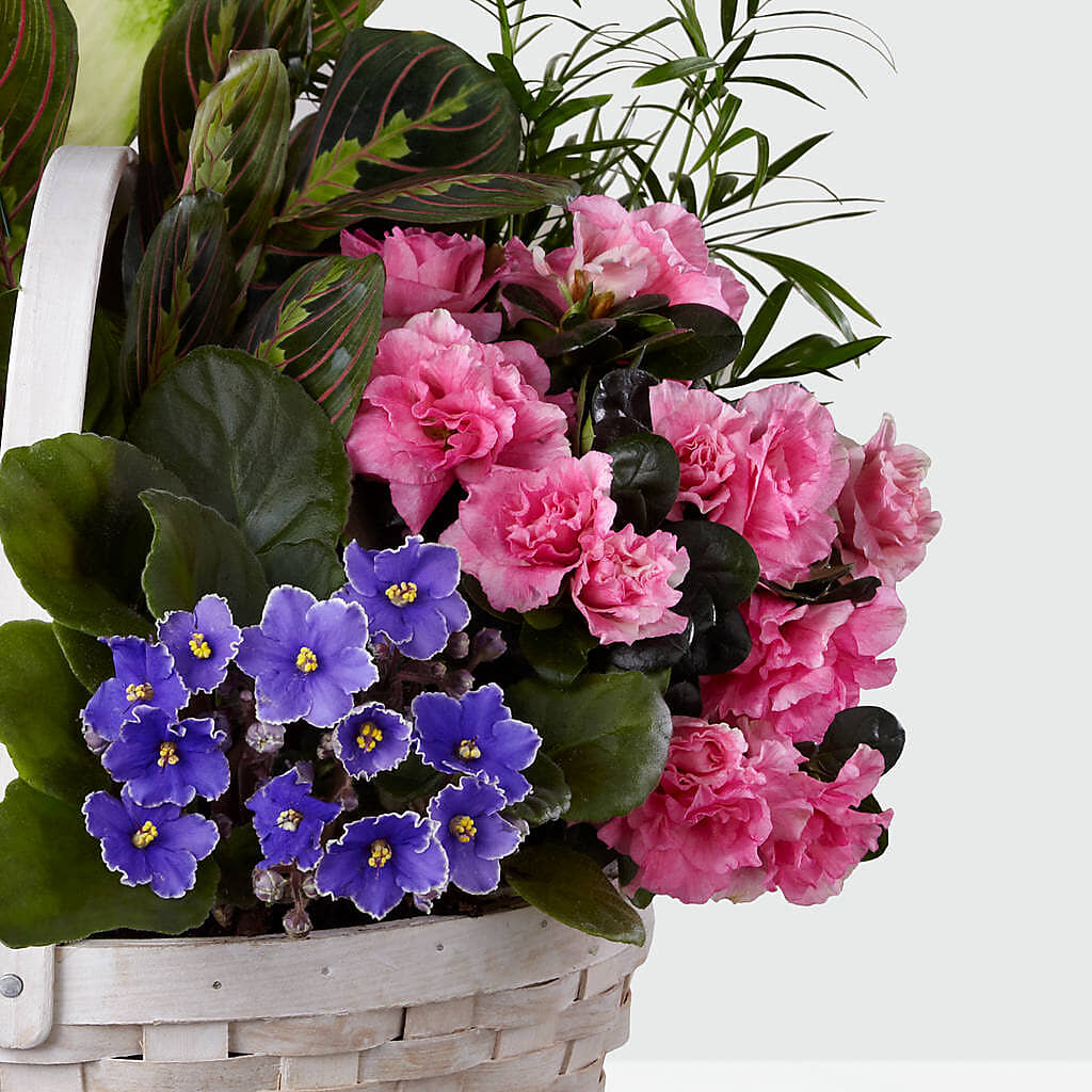 Peaceful Garden Planter – My Flower Market, Santa Ana CA