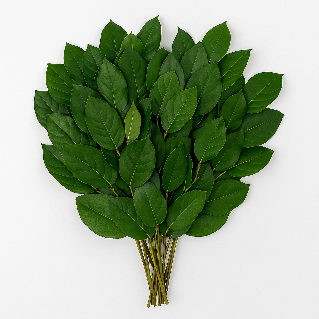 Salal