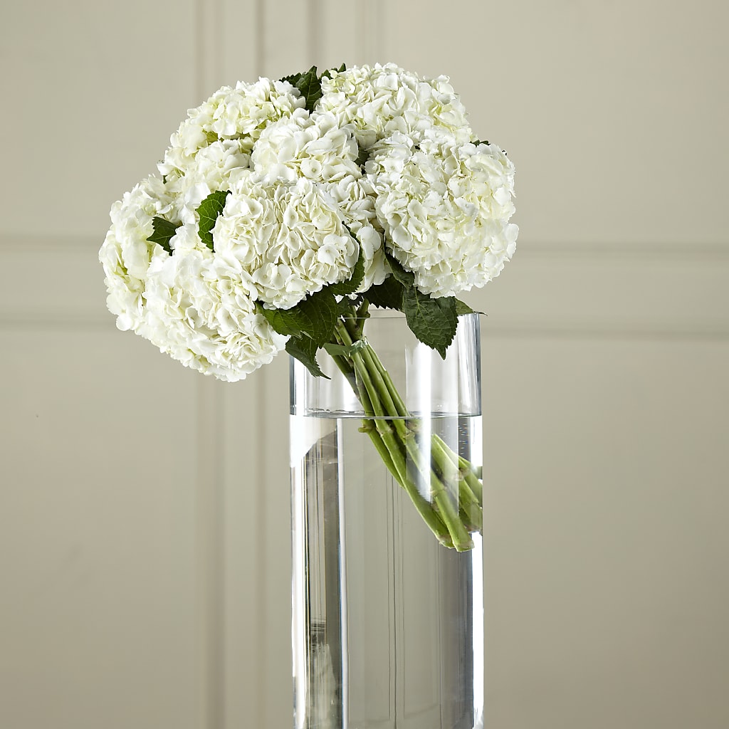 White Hydrangea Hand-Tied Bouquet – My Flower Market, Santa Ana CA