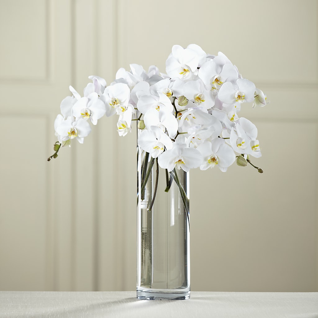 White Phalaenopsis Bouquet – My Flower Market, Santa Ana CA