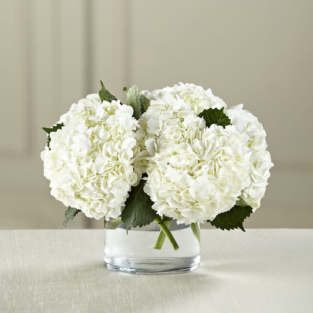 White Hydrangea Bouquet – My Flower Market, Santa Ana CA