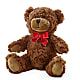 Adorable Plush Bear –  My Flower Market, Santa Ana CA