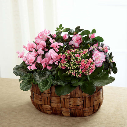 Pink Assortment –  My Flower Market, Santa Ana CA