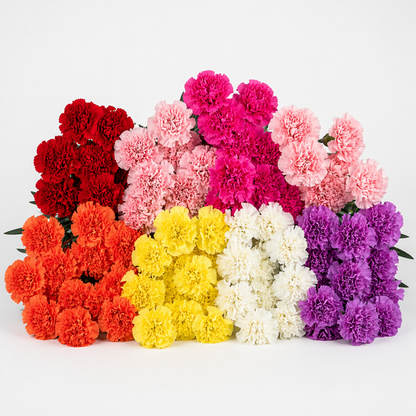 Carnations –  My Flower Market, Santa Ana CA