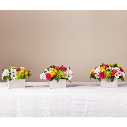 Sorbet Bouquet –  My Flower Market, Santa Ana CA