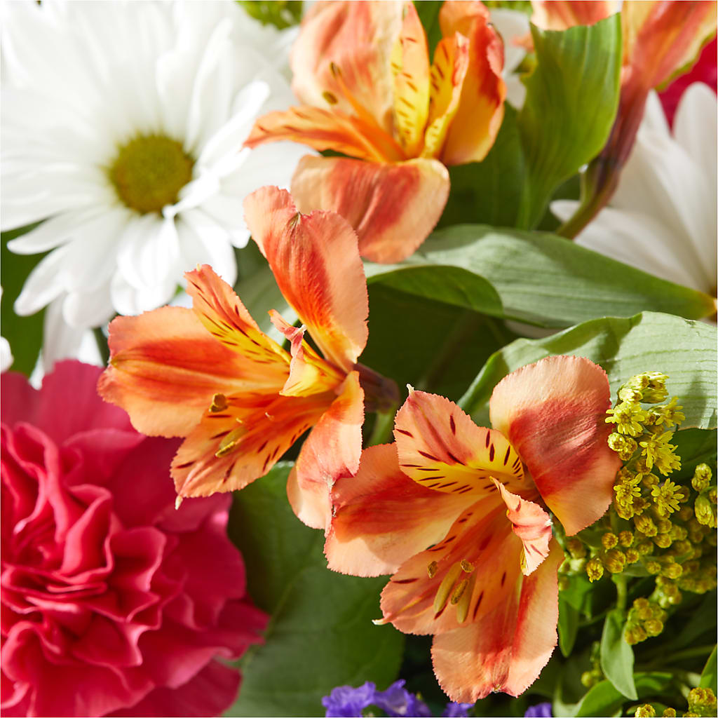 Oopsie Daisy Box Bouquet –  My Flower Market, Santa Ana CA