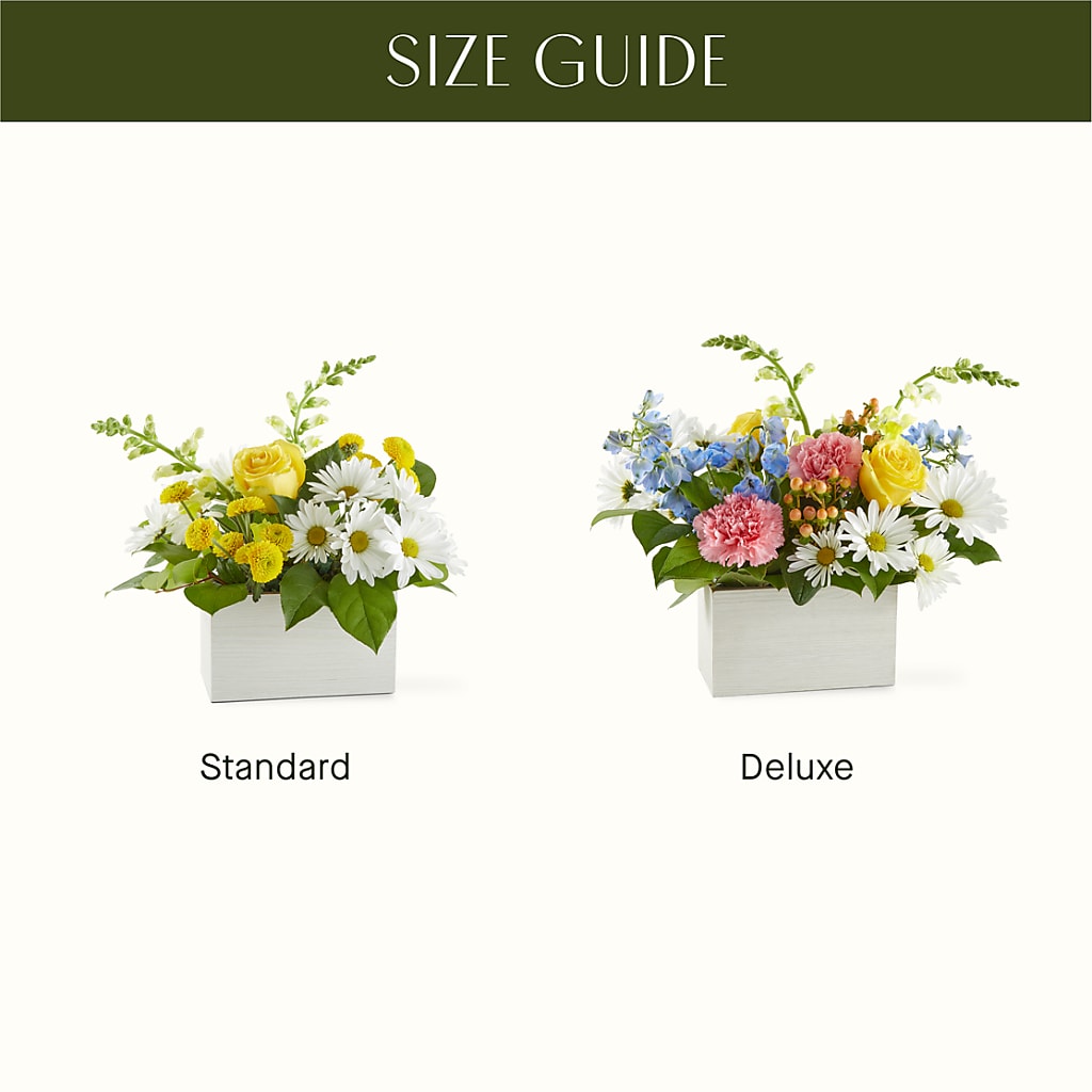 Sun Salutation Box Bouquet –  My Flower Market, Santa Ana CA