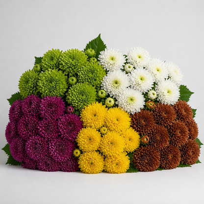 Cremons –  My Flower Market, Santa Ana CA