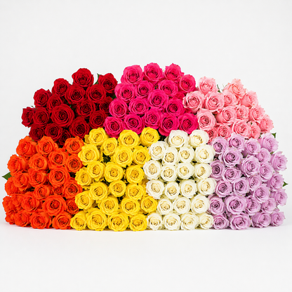 Colombian Roses –  My Flower Market, Santa Ana CA