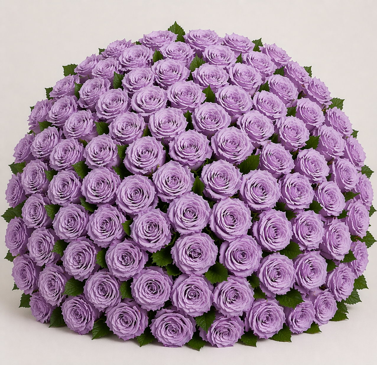 Ecuadorian Rose