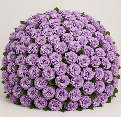 Ecuadorian Rose