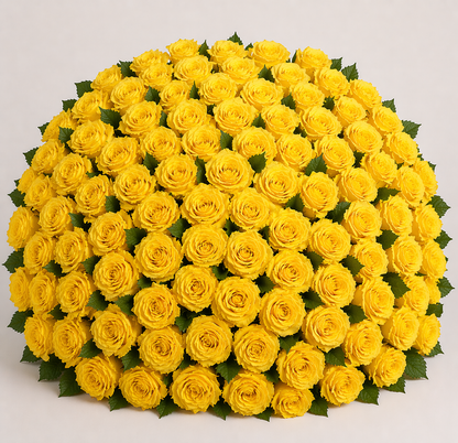 Ecuadorian Rose