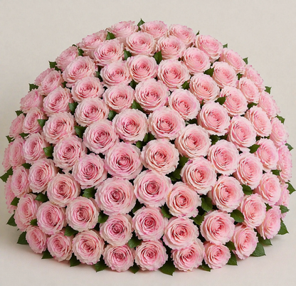 Ecuadorian Rose