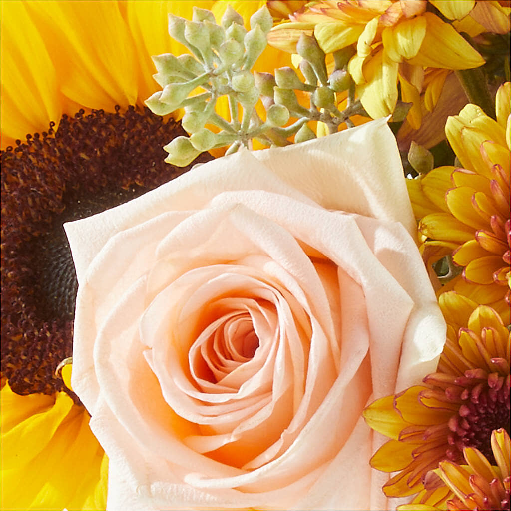 Pumpkin to Talk About Bouquet –  My Flower Market, Santa Ana CA
