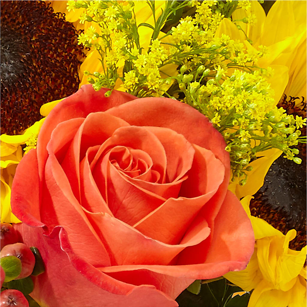 Pick of the Patch Pumpkin Bouquet –  My Flower Market, Santa Ana CA