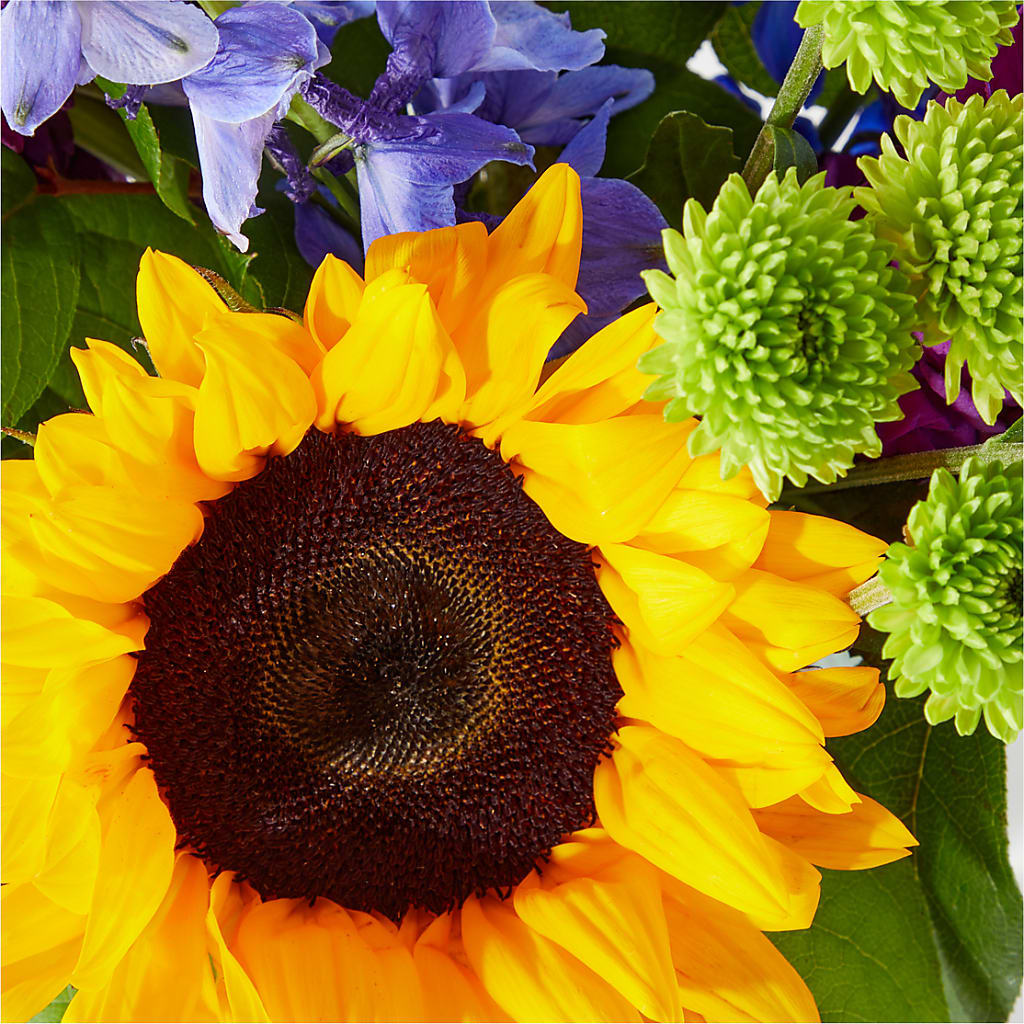 Catching Rays Bouquet –  My Flower Market, Santa Ana CA