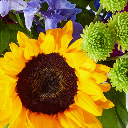 Catching Rays Bouquet –  My Flower Market, Santa Ana CA
