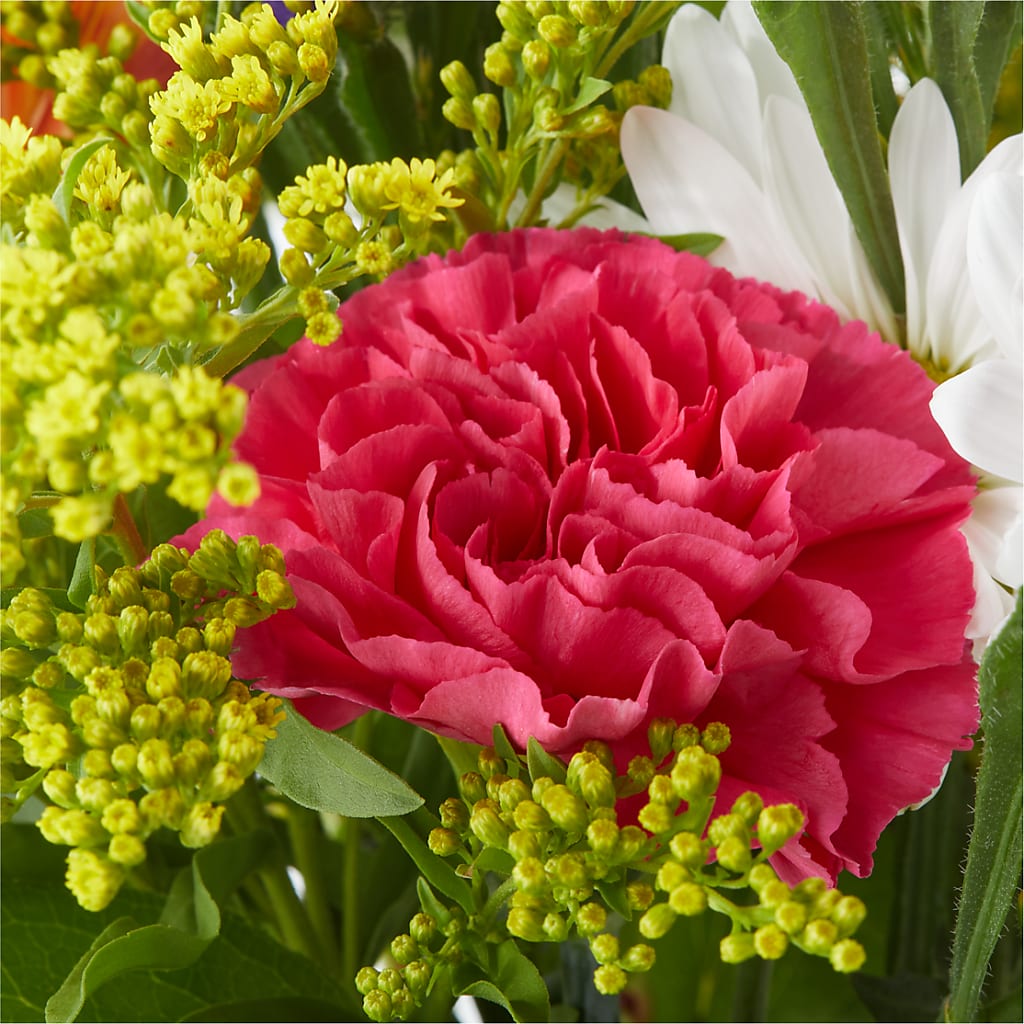Oopsie Daisy Bouquet –  My Flower Market, Santa Ana CA
