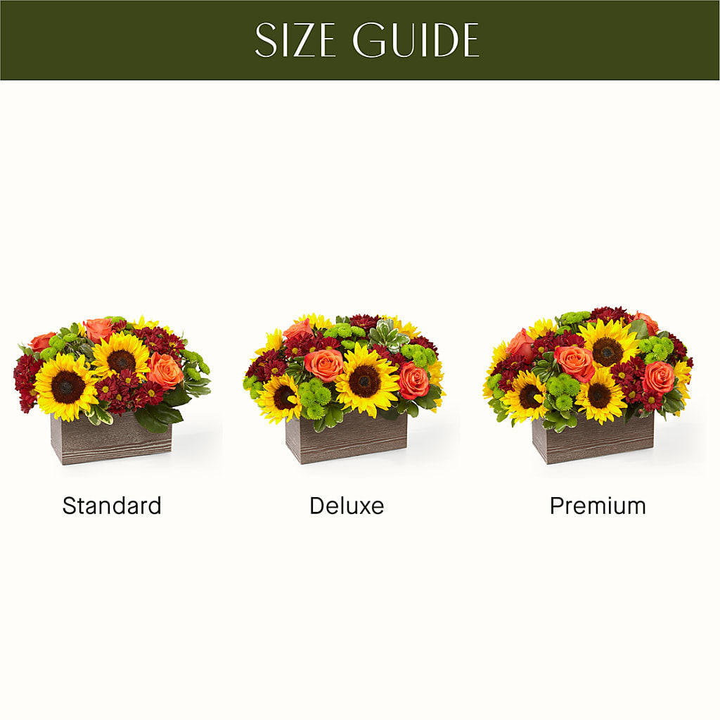 Happy Harvest Garden –  My Flower Market, Santa Ana CA