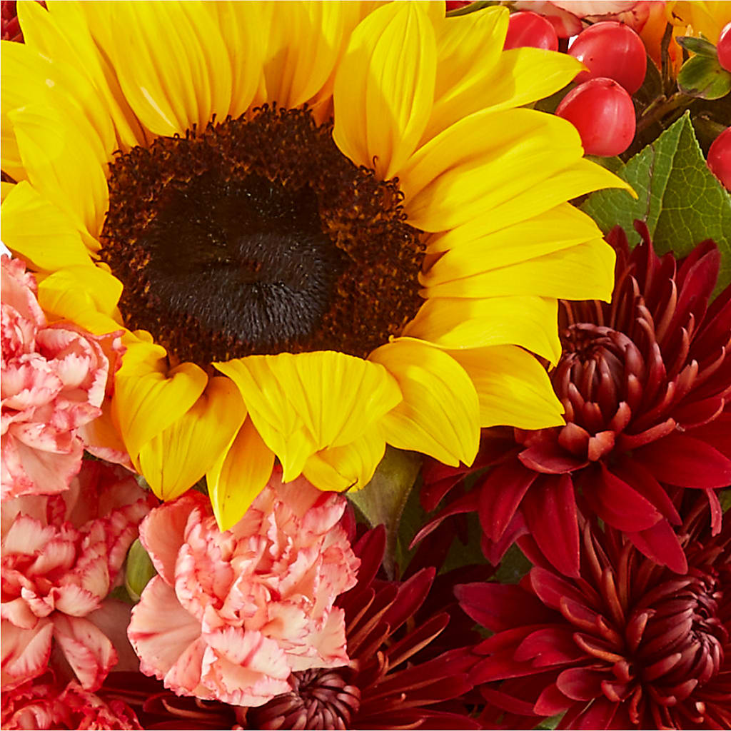 Fresh Cider Bouquet –  My Flower Market, Santa Ana CA