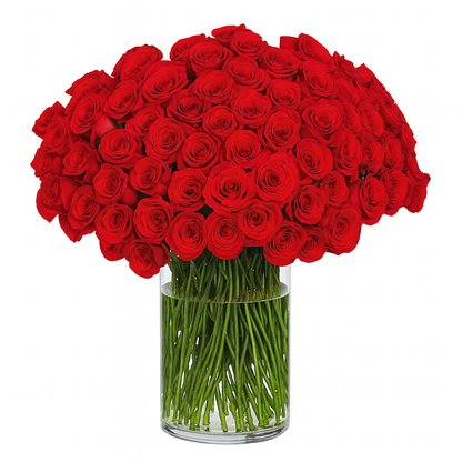 Red Rose Luxury 100 Stems –  My Flower Market, Santa Ana CA