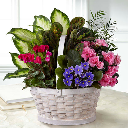 Peaceful Garden Planter –  My Flower Market, Santa Ana CA