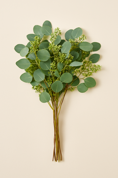 Seeded Eucalyptus –  My Flower Market, Santa Ana CA