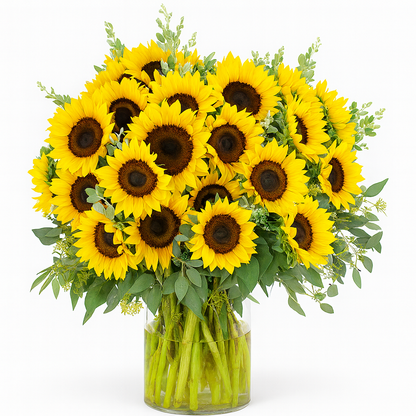 Sunflower Luxury 30 Stems –  My Flower Market, Santa Ana CA