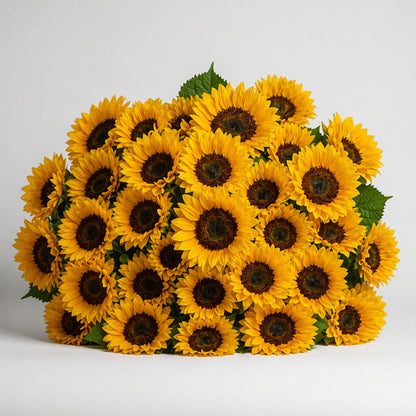 Sunflower –  My Flower Market, Santa Ana CA