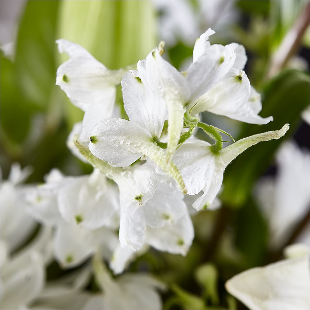 Classic Ivory – A Florist Original –  My Flower Market, Santa Ana CA