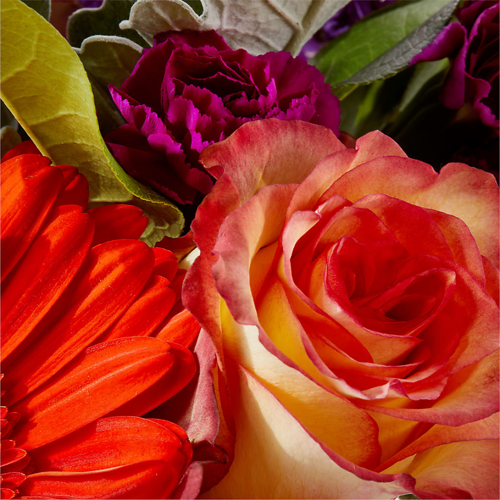 Sangria Bouquet –  My Flower Market, Santa Ana CA