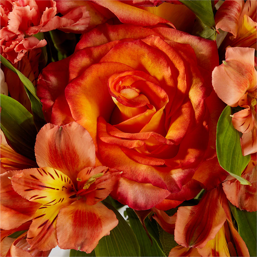 Apricot Glow Bouquet –  My Flower Market, Santa Ana CA