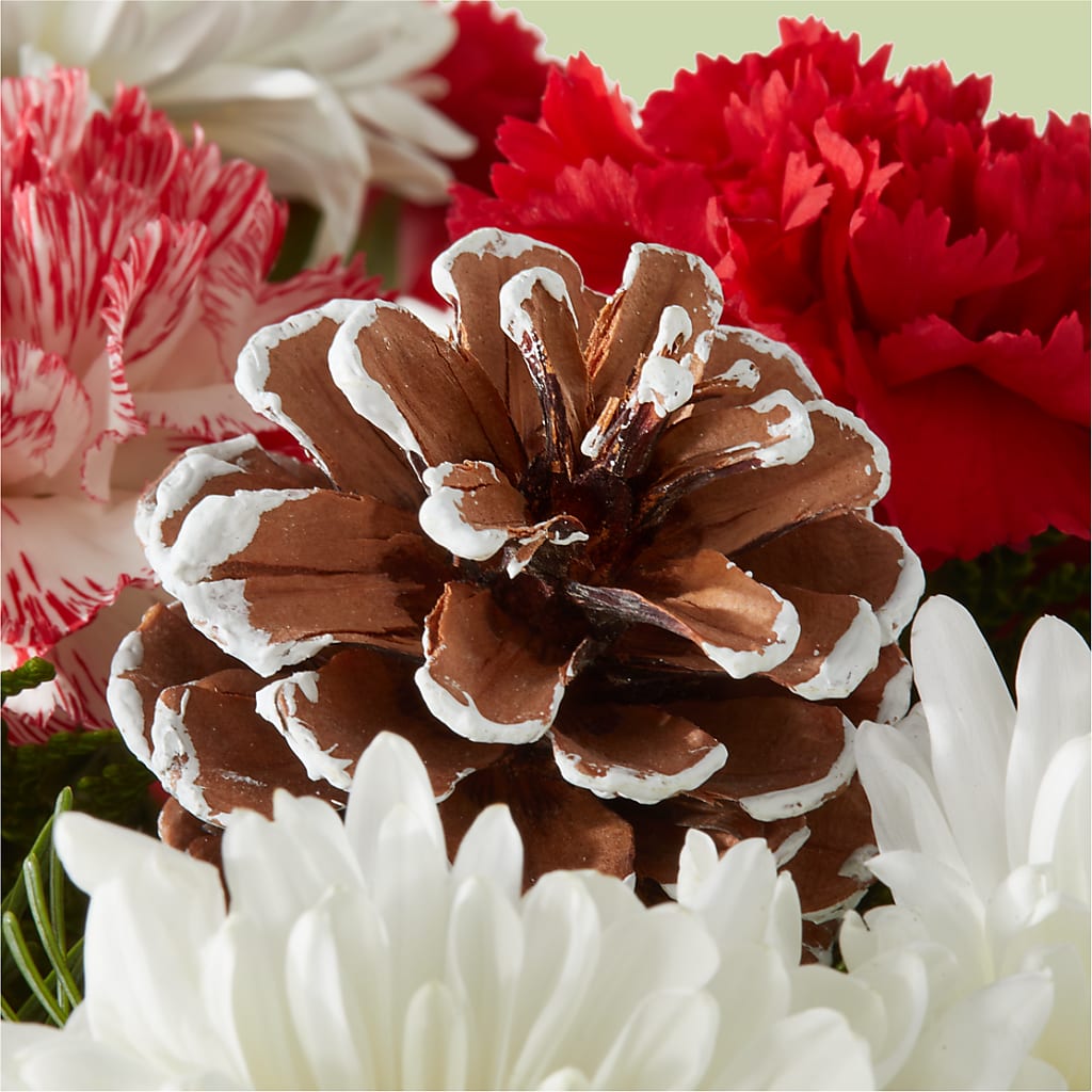 Candy Cane Lane Bouquet –  My Flower Market, Santa Ana CA
