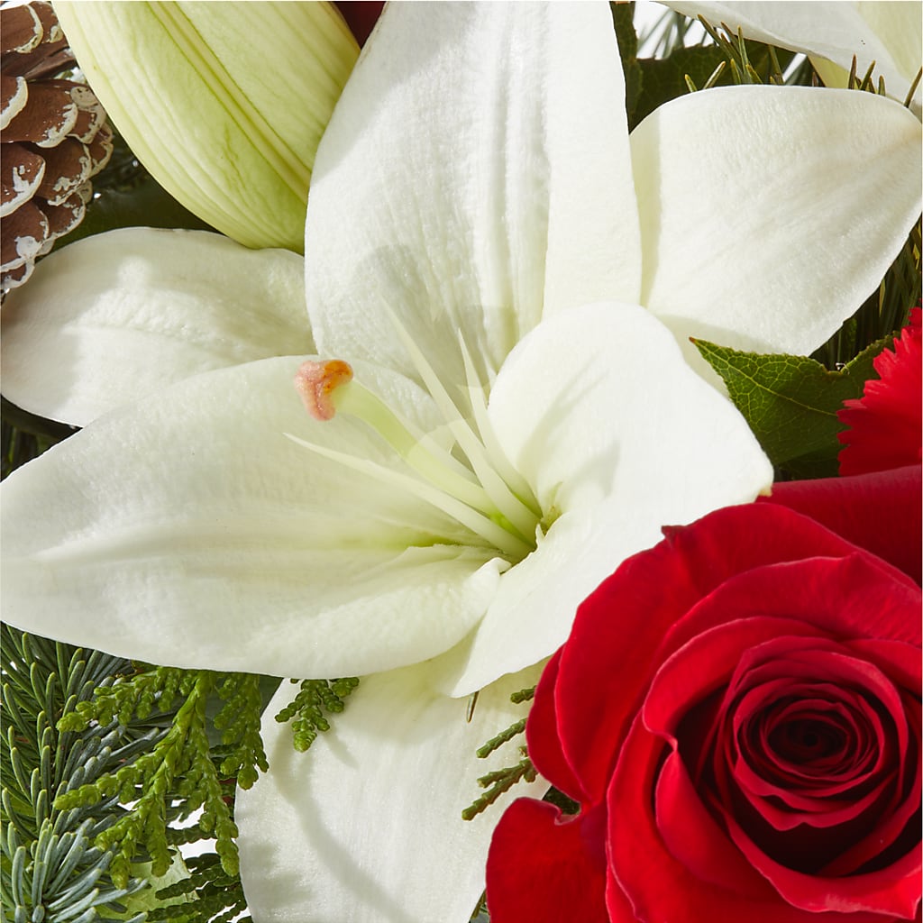 Oh So Jolly Bouquet –  My Flower Market, Santa Ana CA