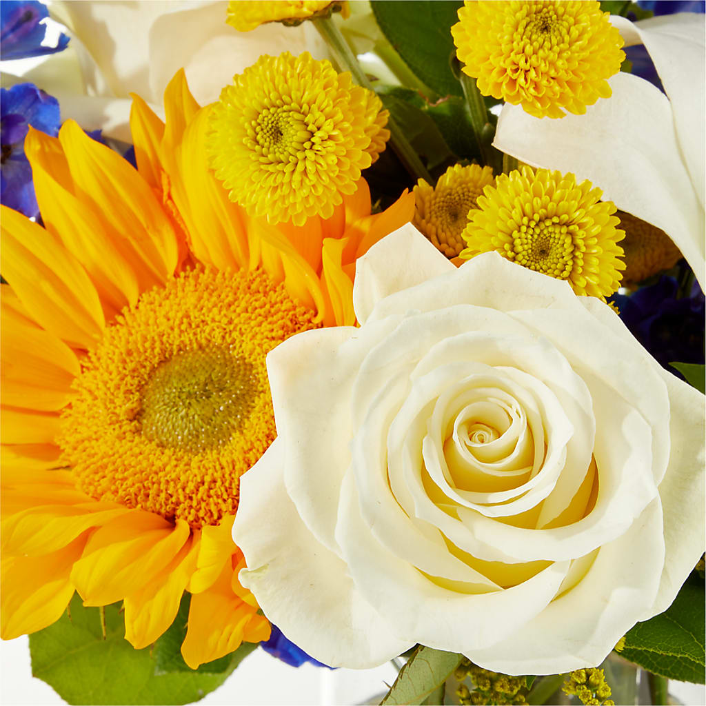 Stargazing Bouquet –  My Flower Market, Santa Ana CA