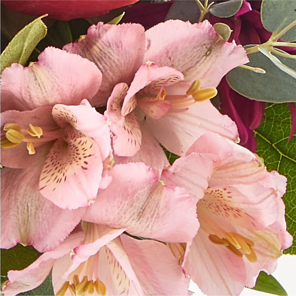Berry Cobbler Bouquet –  My Flower Market, Santa Ana CA