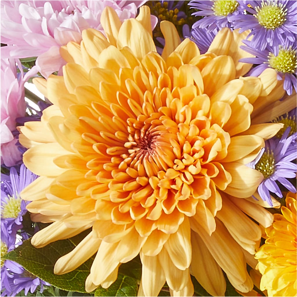 Countryside Bouquet –  My Flower Market, Santa Ana CA