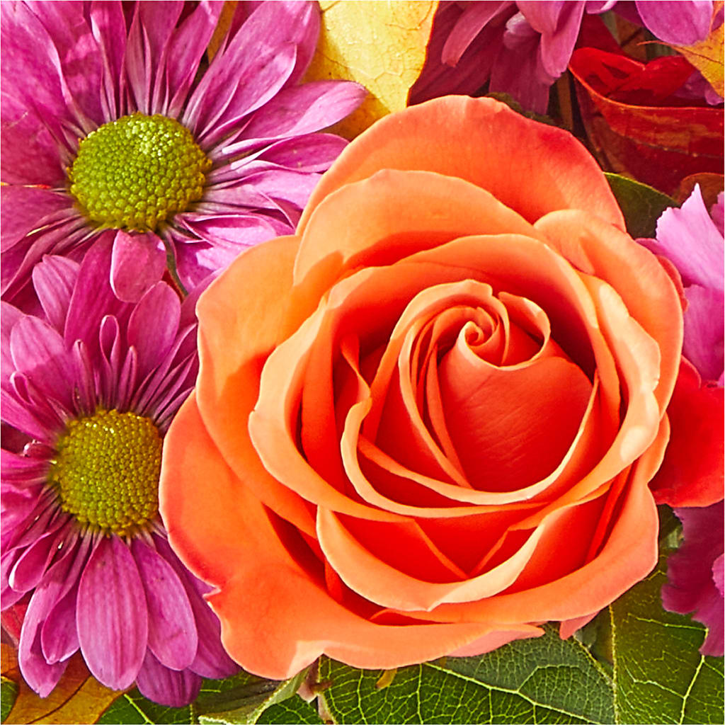 Mum's the Word Bouquet –  My Flower Market, Santa Ana CA