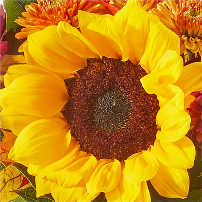 Sunny Side Bouquet –  My Flower Market, Santa Ana CA