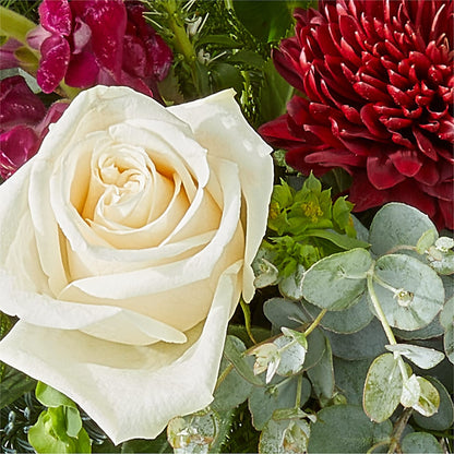 Cranberry Fizz Bouquet –  My Flower Market, Santa Ana CA