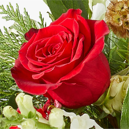 Deck the Halls Bouquet –  My Flower Market, Santa Ana CA