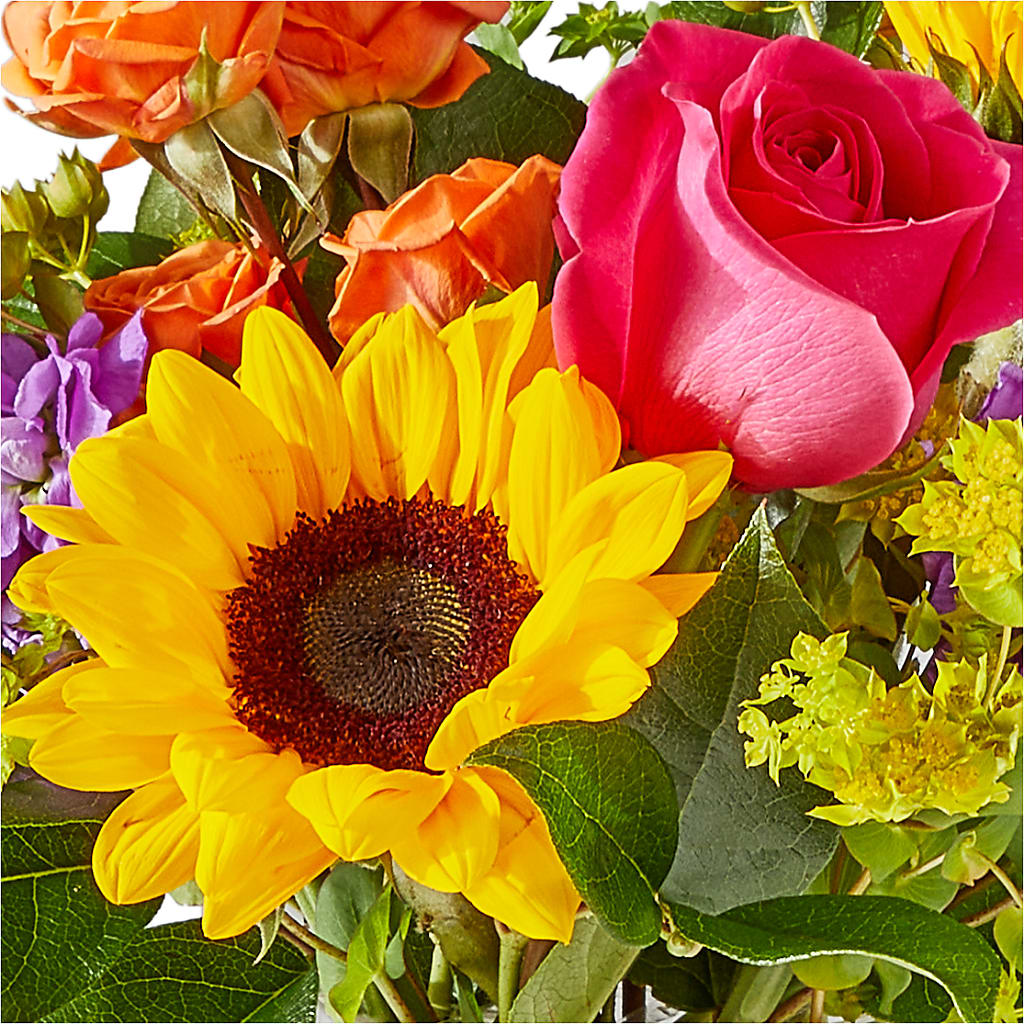 Vibrant Greetings Bouquet –  My Flower Market, Santa Ana CA