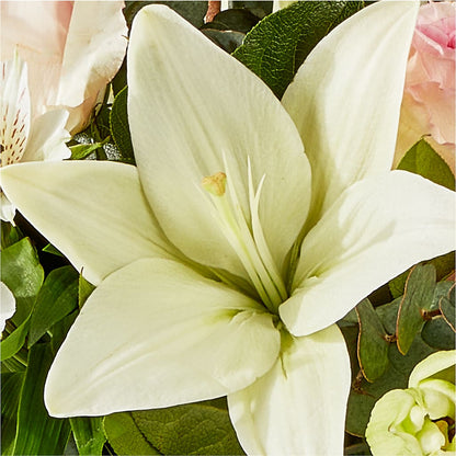 Ballet Slippers Bouquet –  My Flower Market, Santa Ana CA