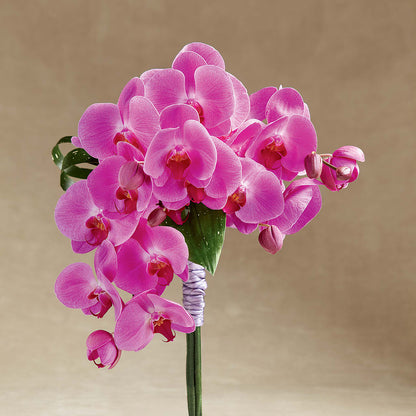 Glorious Bouquet –  My Flower Market, Santa Ana CA